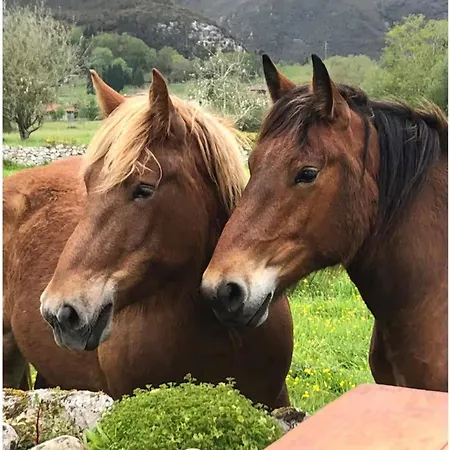 El Mirador De Cuenco Holiday home Margolles